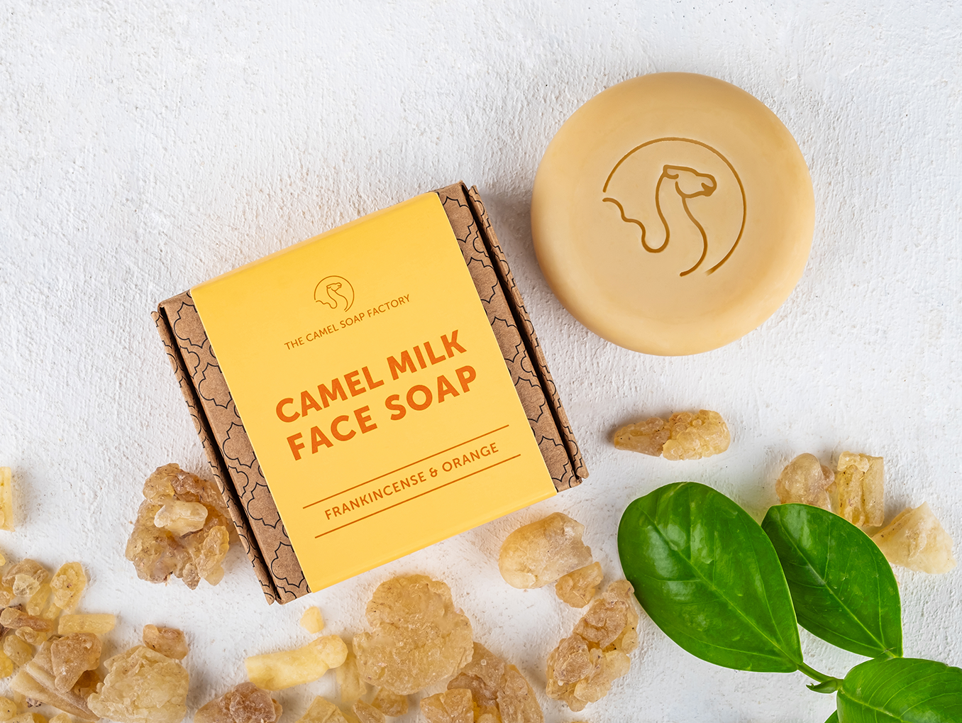 Which Face Soap Is Best for YOU?