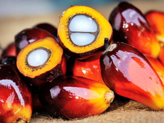 Our point-of-view on palm oil
