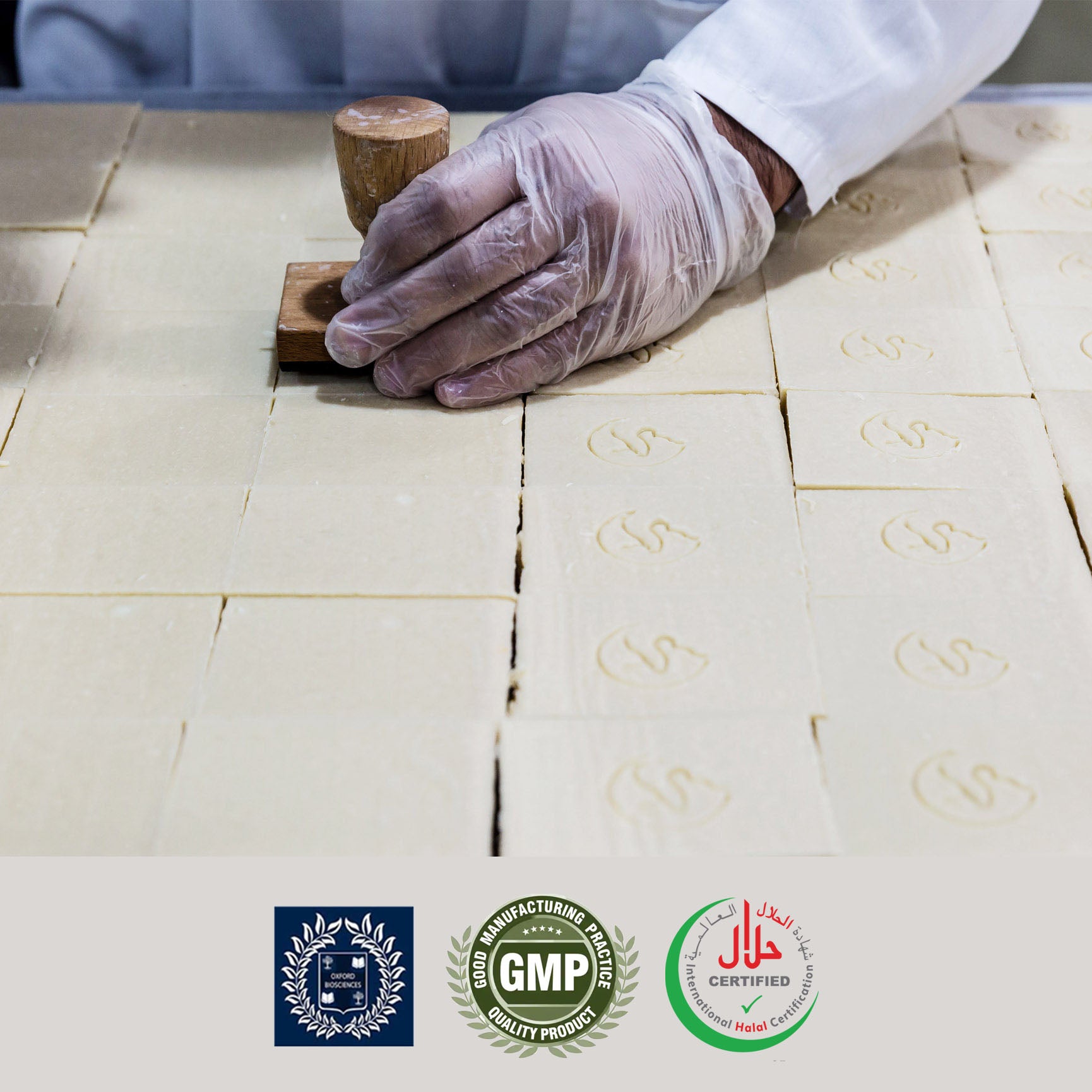 The Camel Soap Factory White Label Logo Stamping