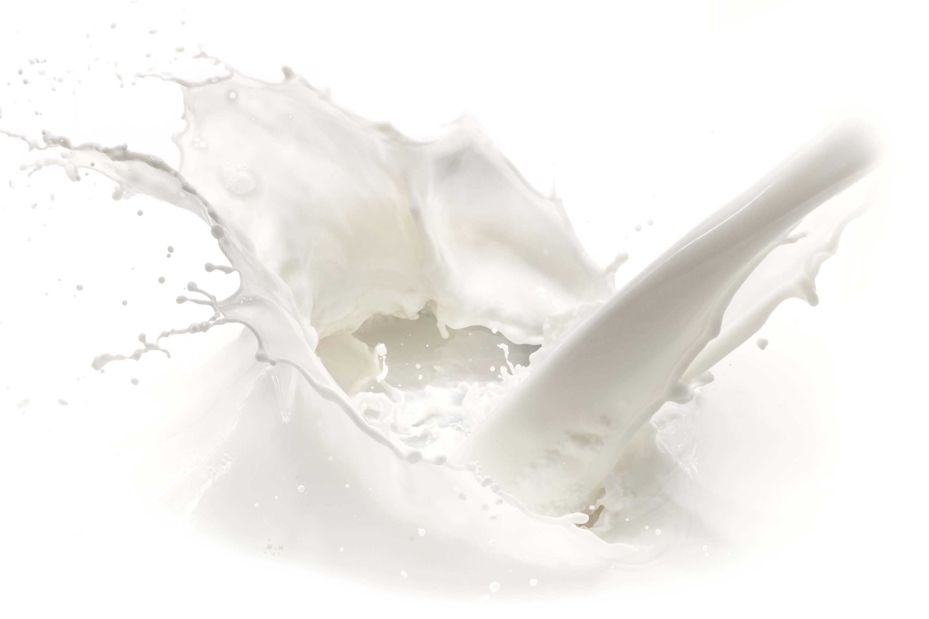 The Camel Soap Factory Camel Milk Splash