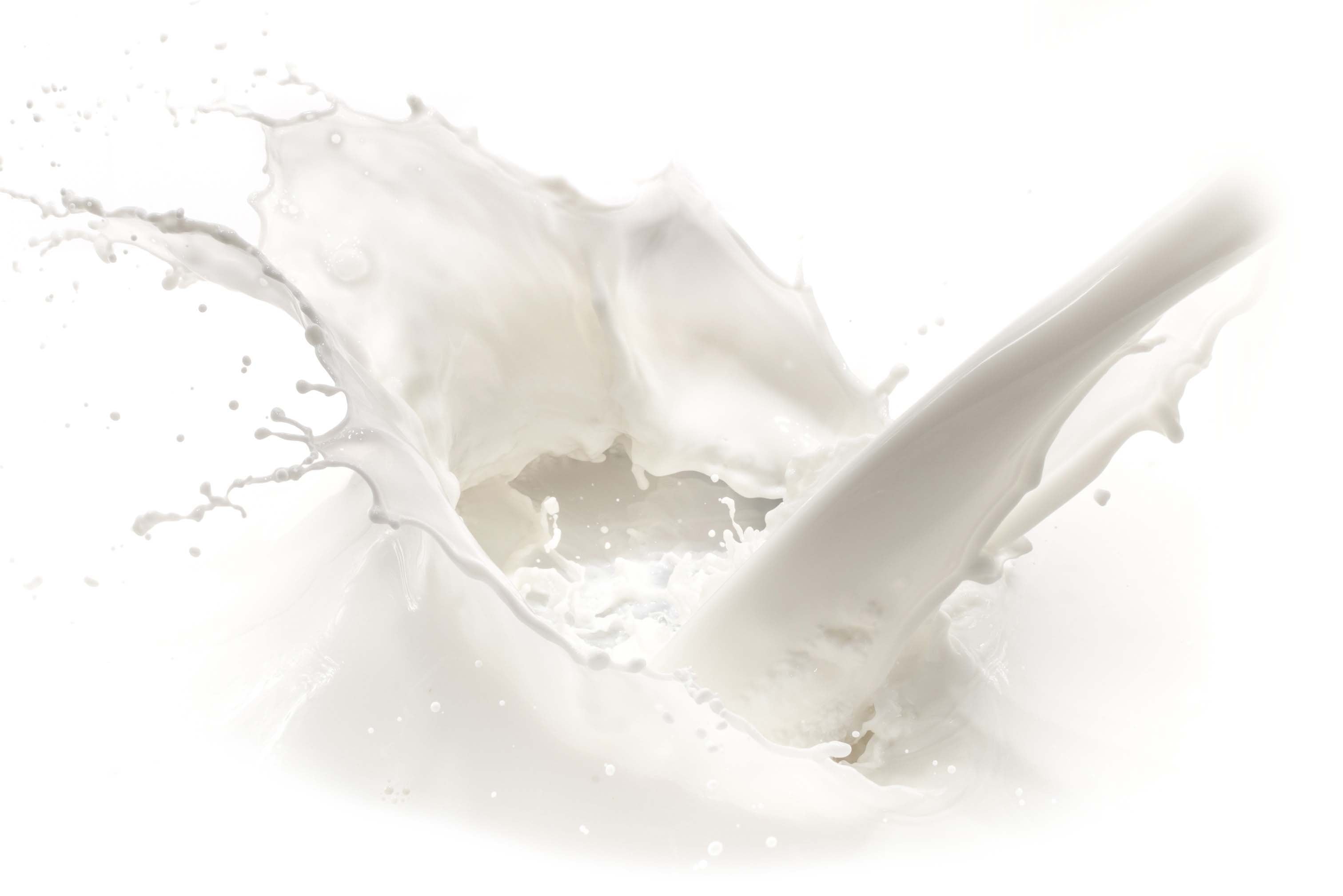 The Camel Soap Factory Camel Milk Splash