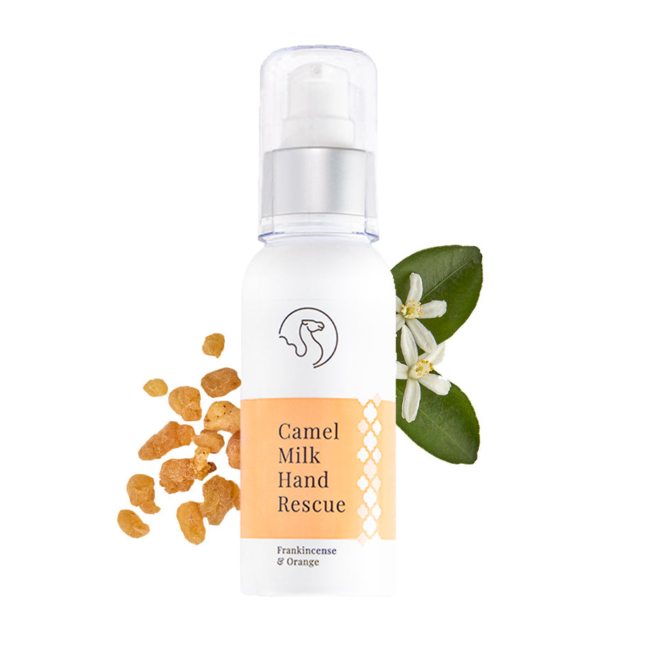Camel Milk Hand Cream – The Camel Soap Factory